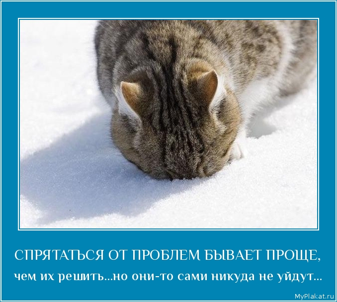 http://myplakat.ru/images/2013/05/12/2821-spriatatisia_ot_problem_byvaet_prosche_chem_ih_reshiti_no_oni_to_sami_nikuda_ne_uidut.jpg